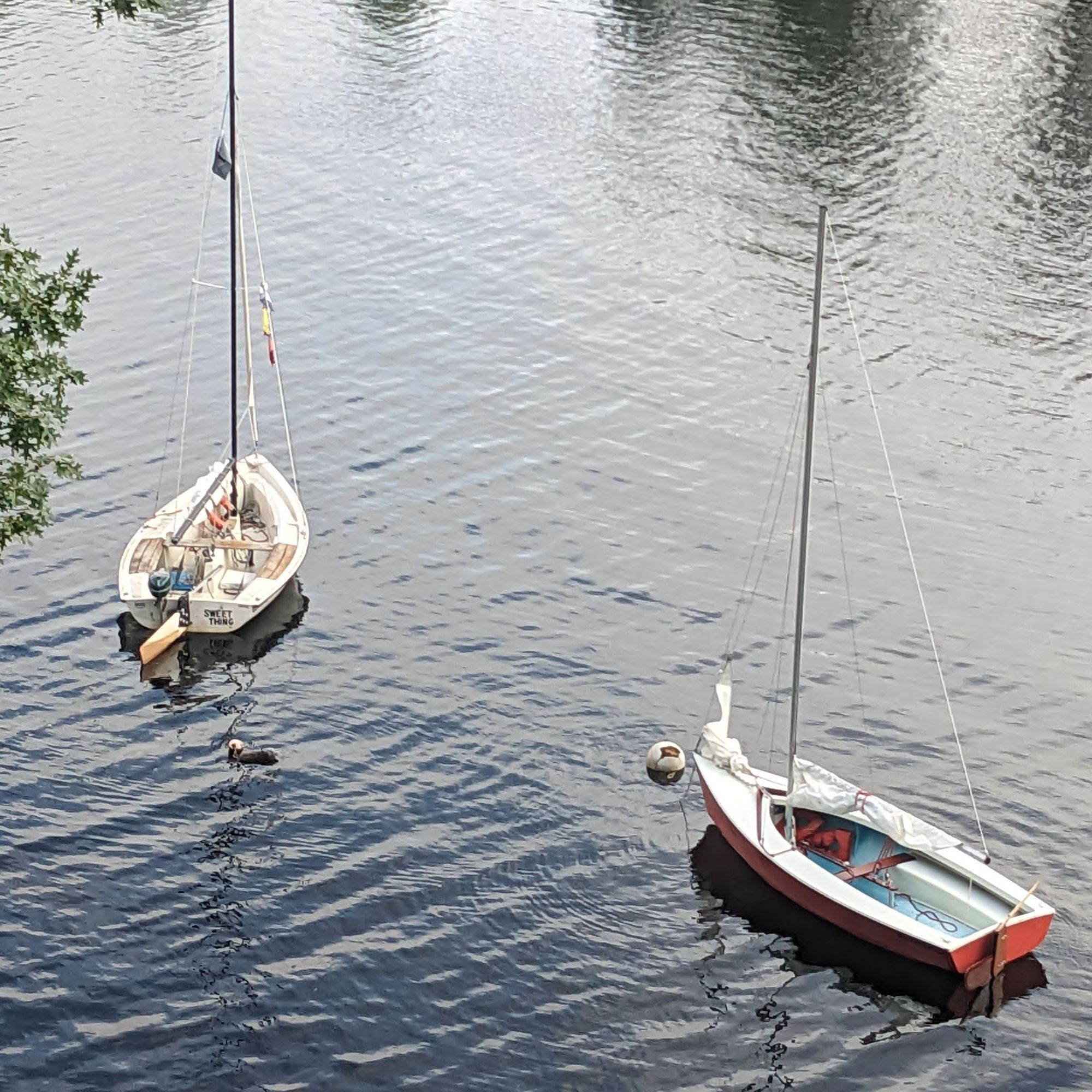 Sailing